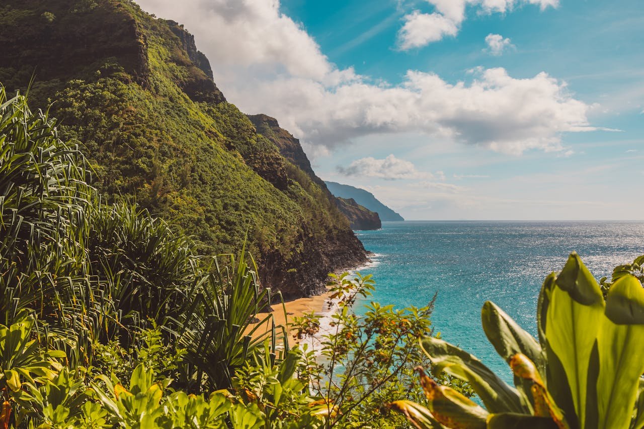 Oraya Travel scenic escape
